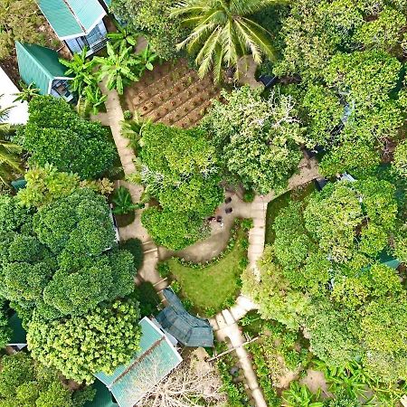 Homestay De La Rosa - Con Dao Chi Khu Co Ong Екстер'єр фото