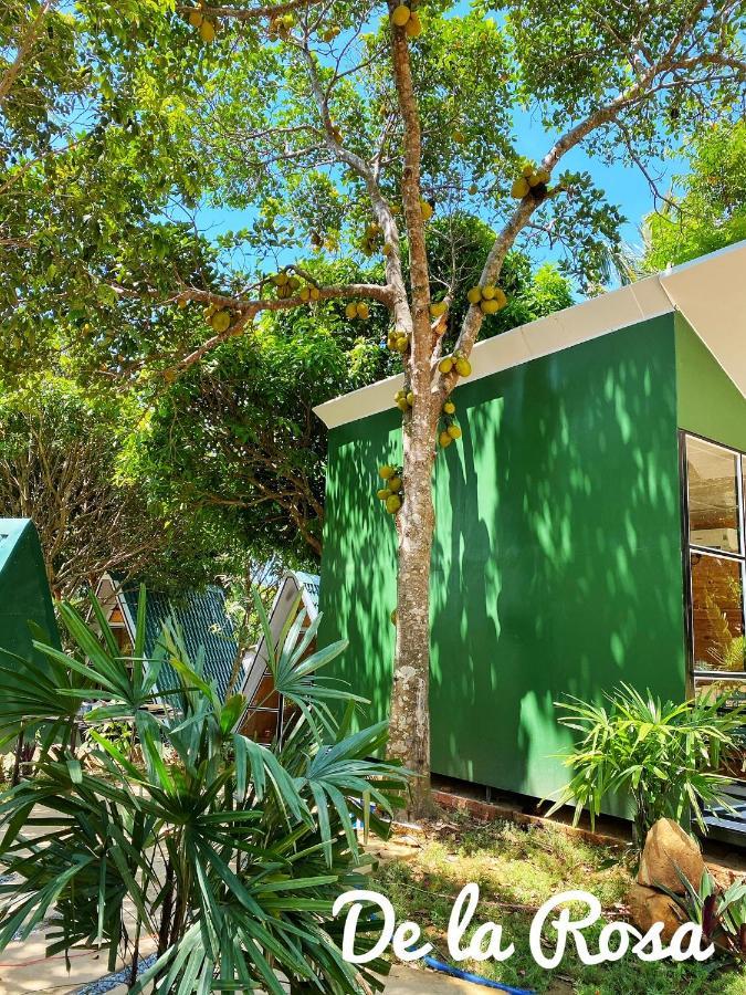 Homestay De La Rosa - Con Dao Chi Khu Co Ong Екстер'єр фото